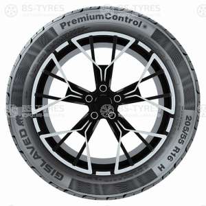 Gislaved PremiumControl 205/55 R16 91H