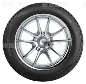 Tigar Winter SUV 275/40 R20 106V